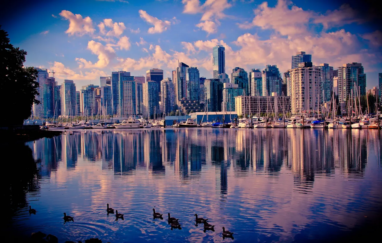 Photo wallpaper water, duck, skyscrapers, Canada, Vancouver