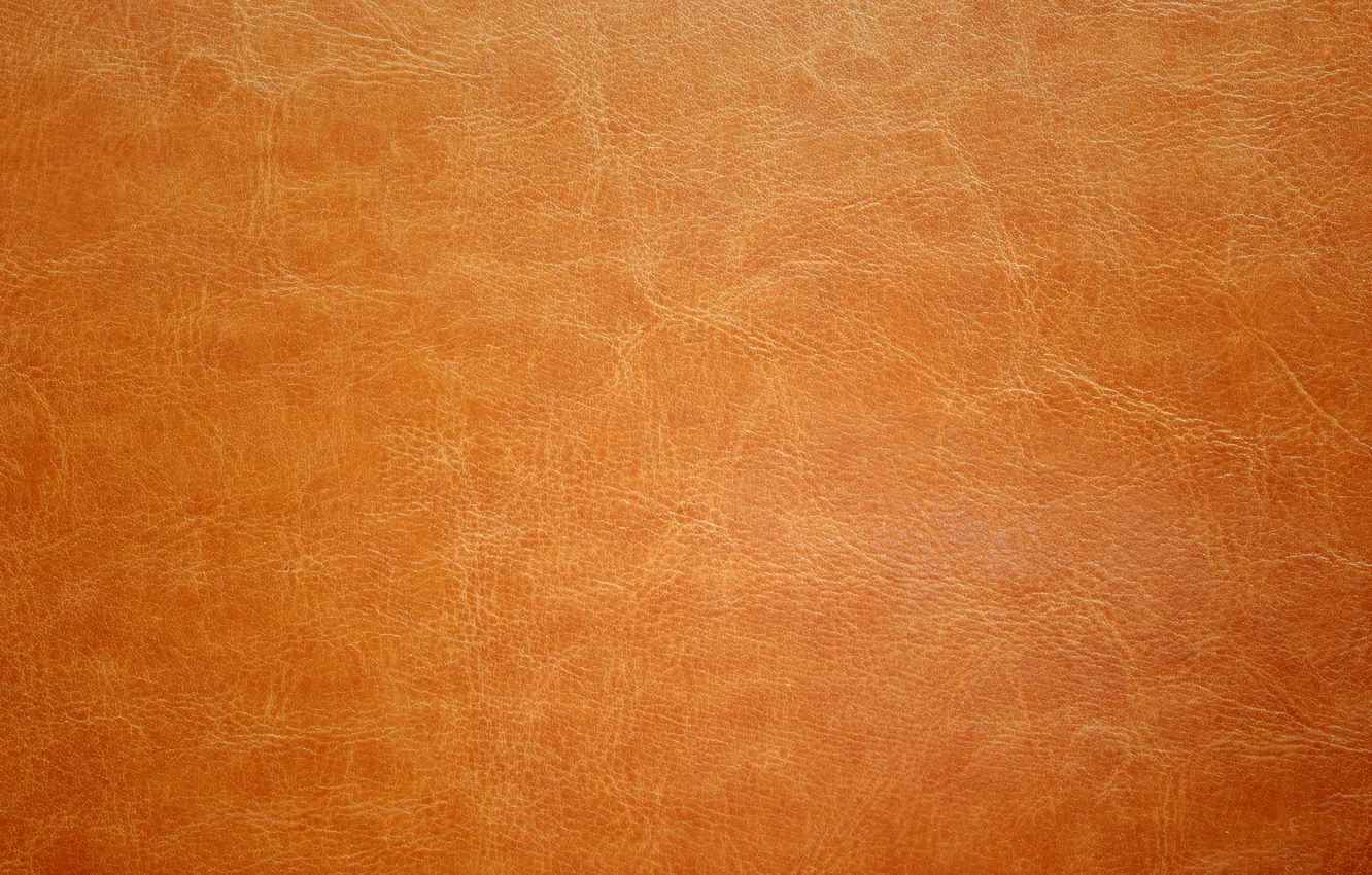 Photo wallpaper leather, texture, leather, skin