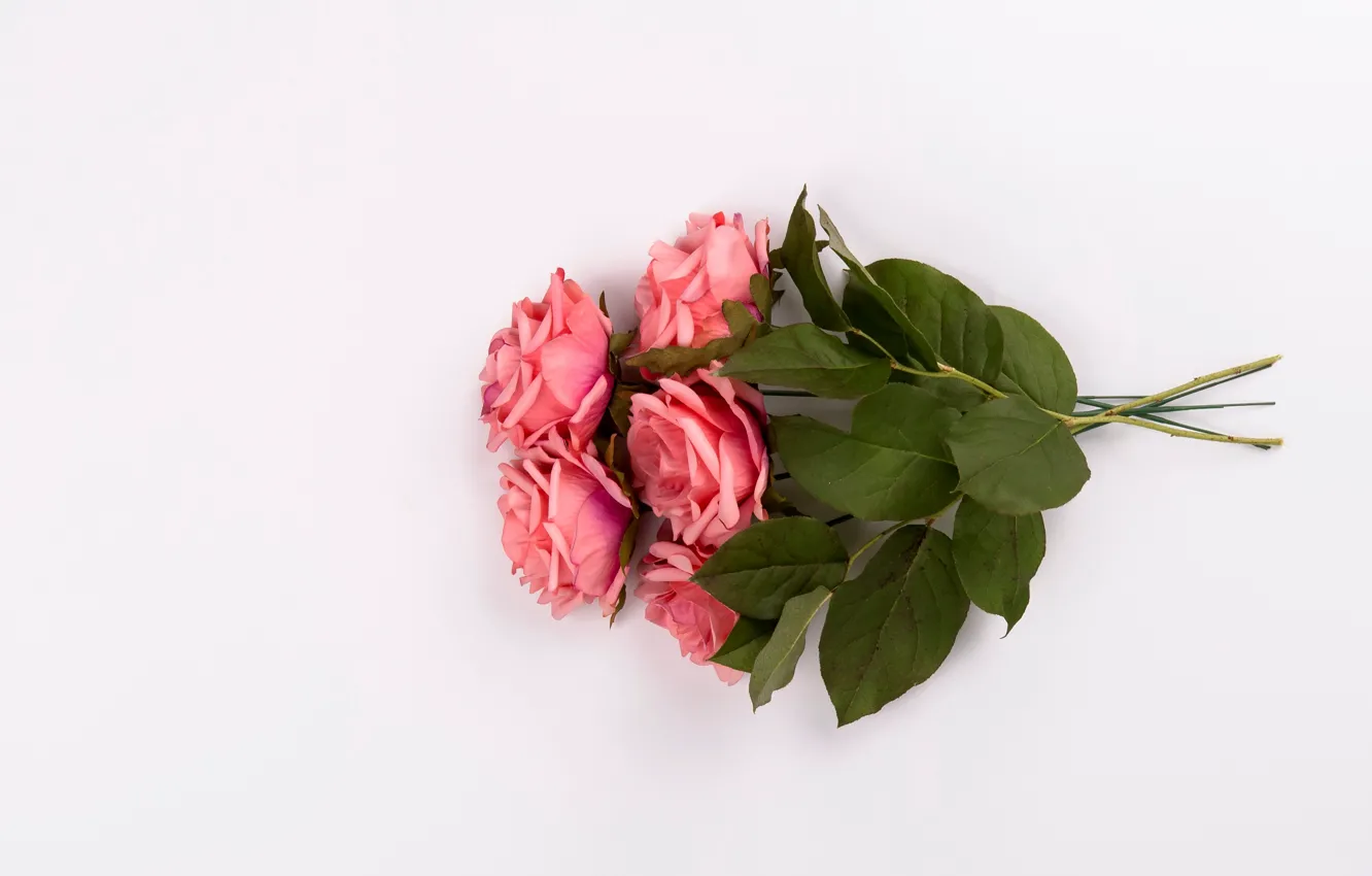 Photo wallpaper flowers, roses, bouquet, pink, pink, flowers, roses, tender