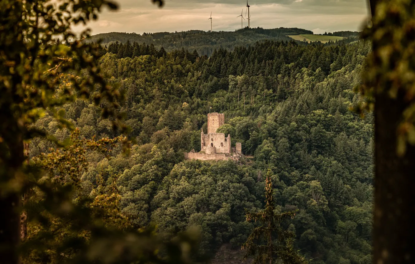Photo wallpaper view, mountains, windmills, forest, castle