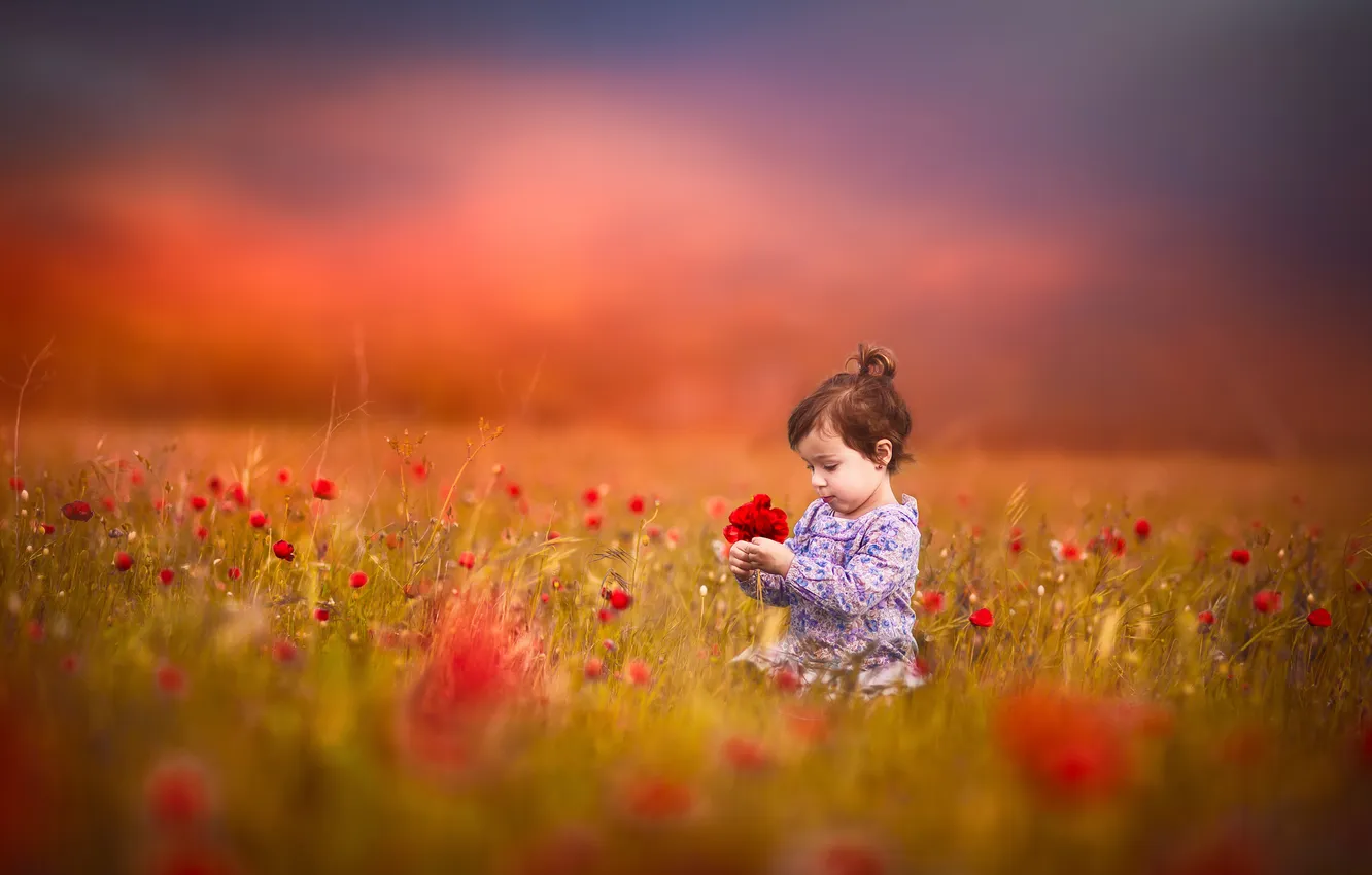 Photo wallpaper field, flowers, girl
