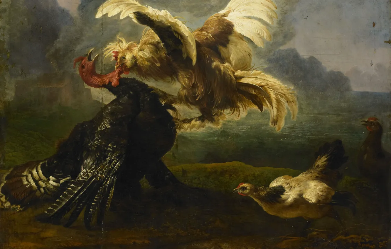 Photo wallpaper animal, oil, picture, canvas, Fight Birds