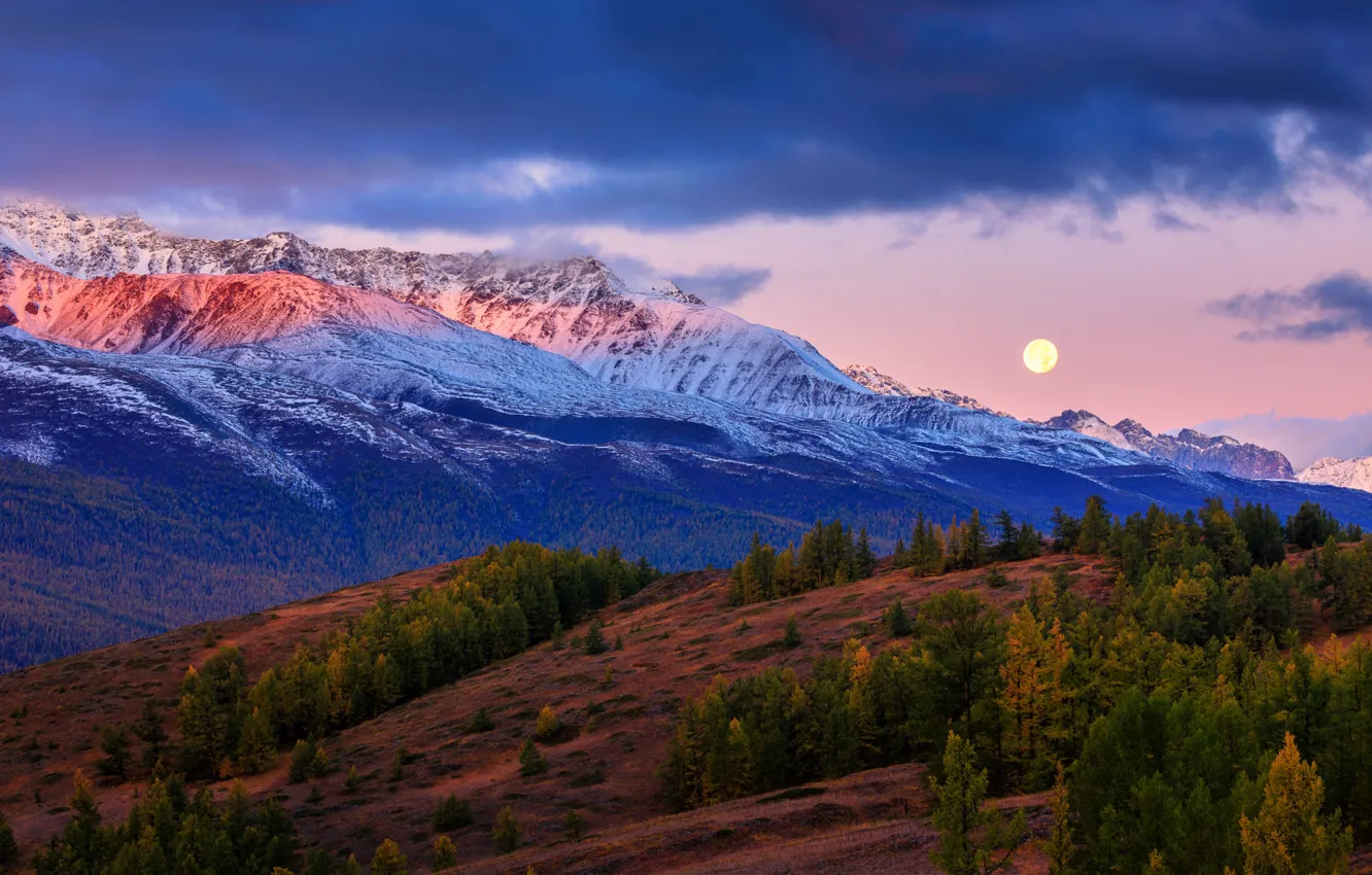 Photo wallpaper autumn, forest, mountains, the moon