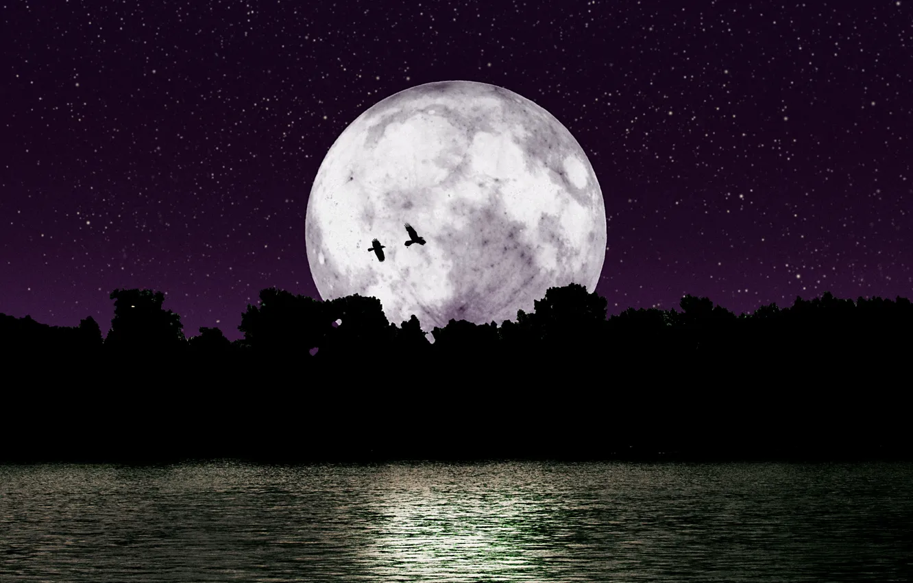 Photo wallpaper stars, trees, birds, night, nature, river, loneliness, the moon
