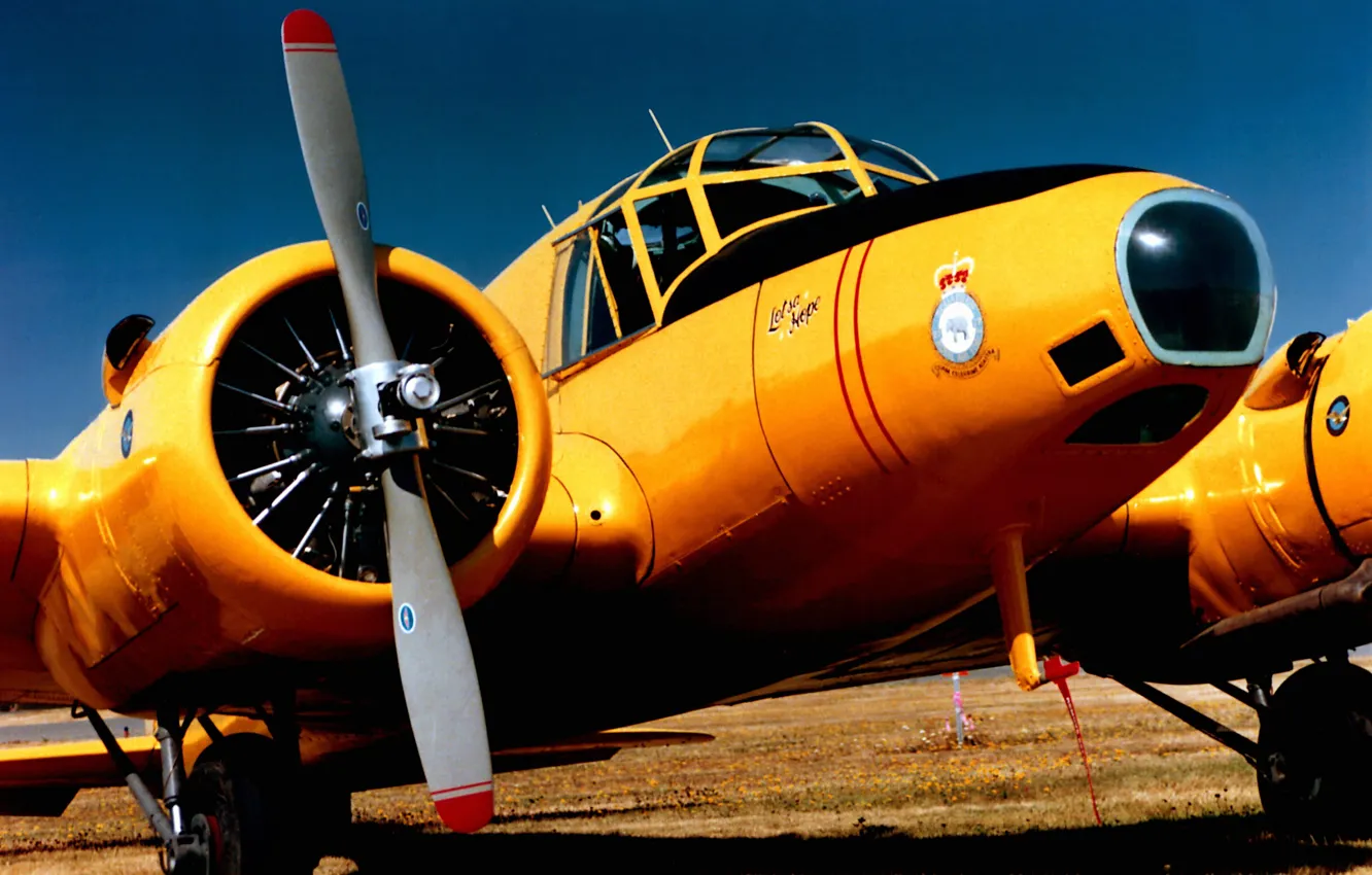 Photo wallpaper field, screw, the plane