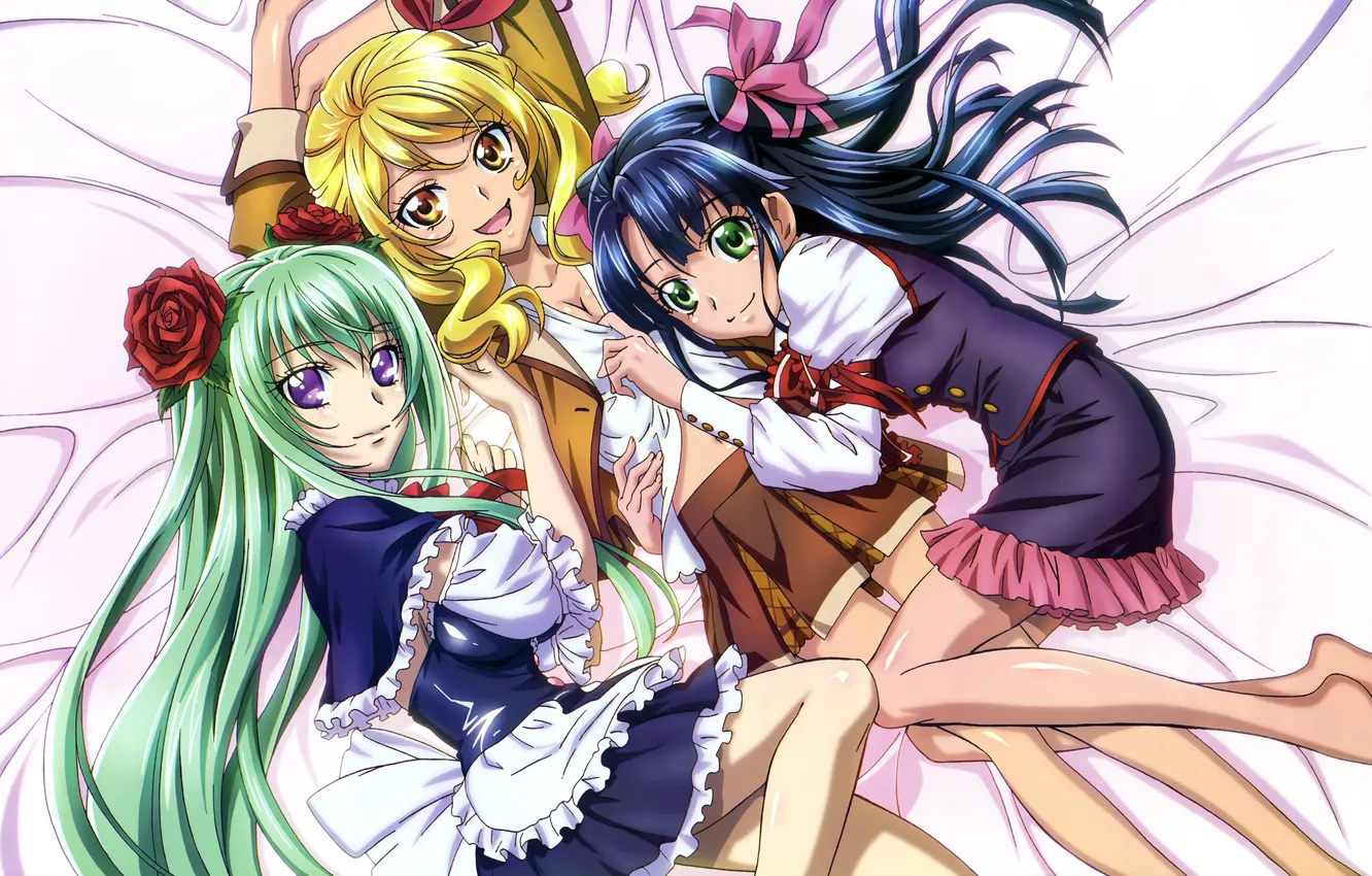 Photo wallpaper girl, flowers, roses, art, bow, star plus one, Megami Magazine