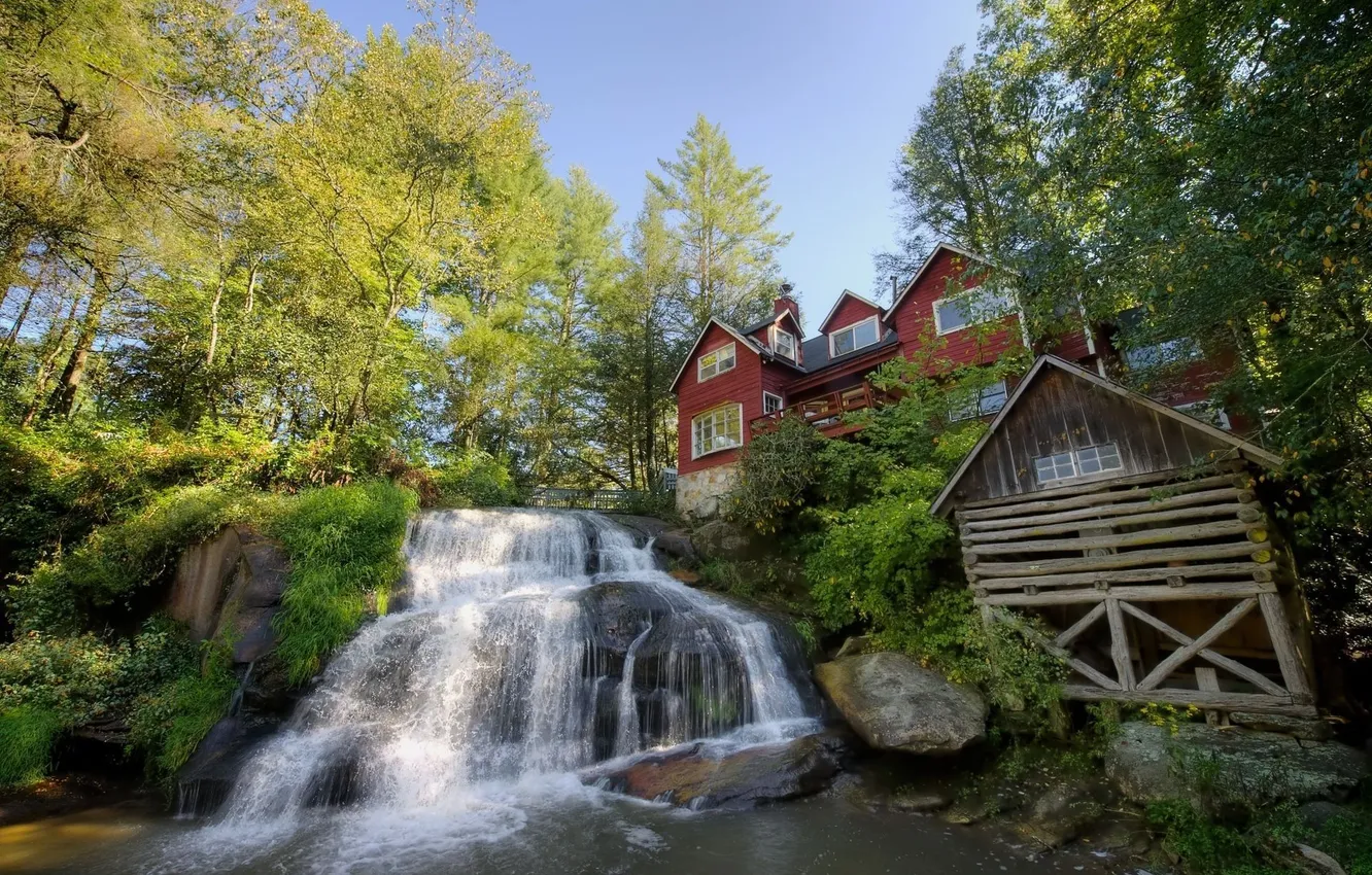 Photo wallpaper trees, waterfall, home