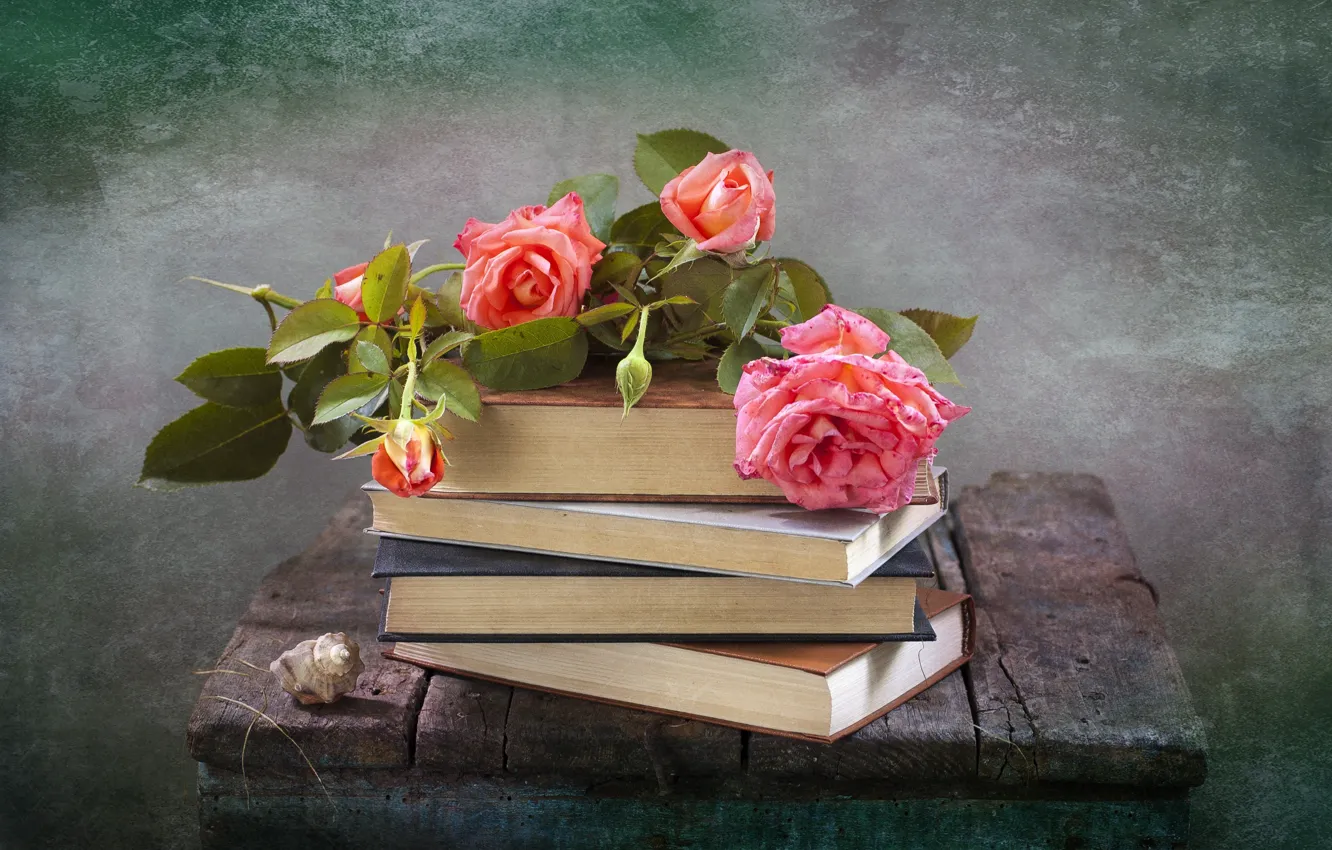 Photo wallpaper flowers, Board, books, roses, shell