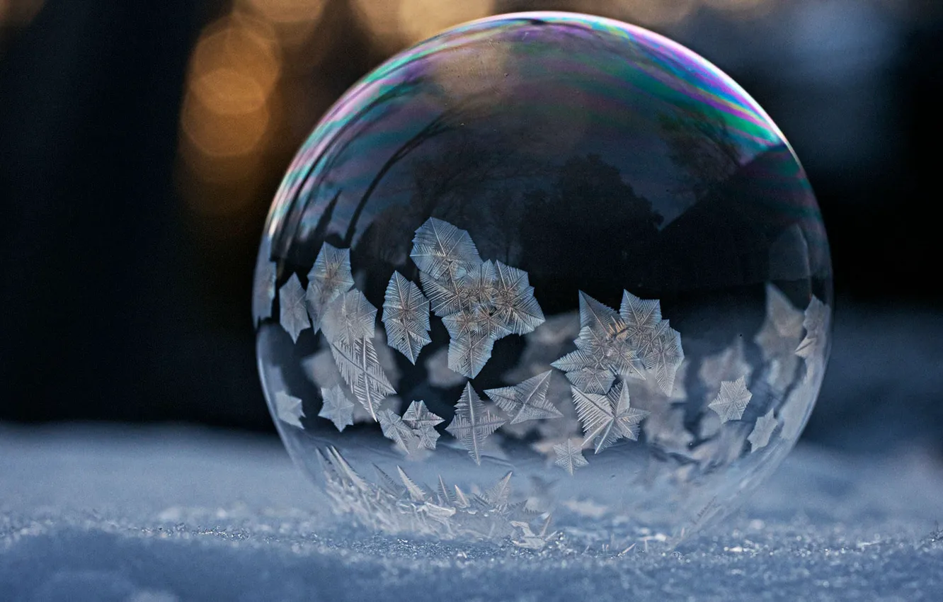 Photo wallpaper pattern, frost, bubble