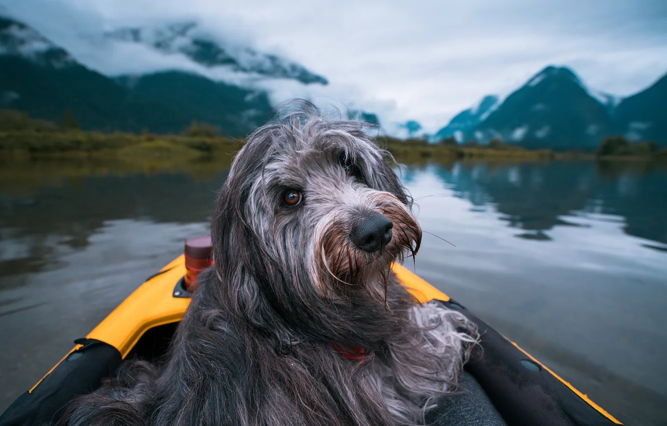 Photo wallpaper look, clouds, landscape, mountains, nature, lake, boat, dog