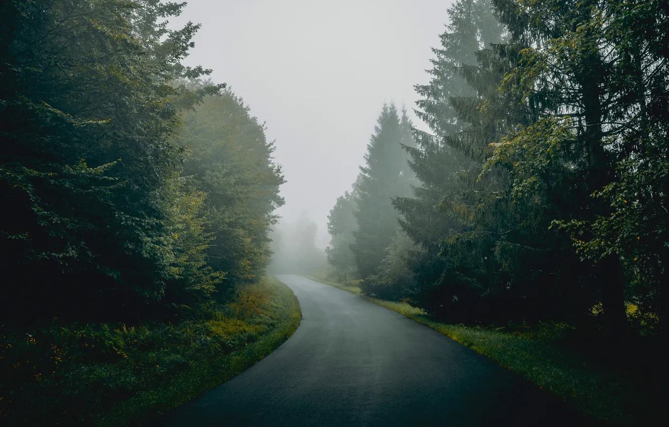 Photo wallpaper road, forest, nature, fog