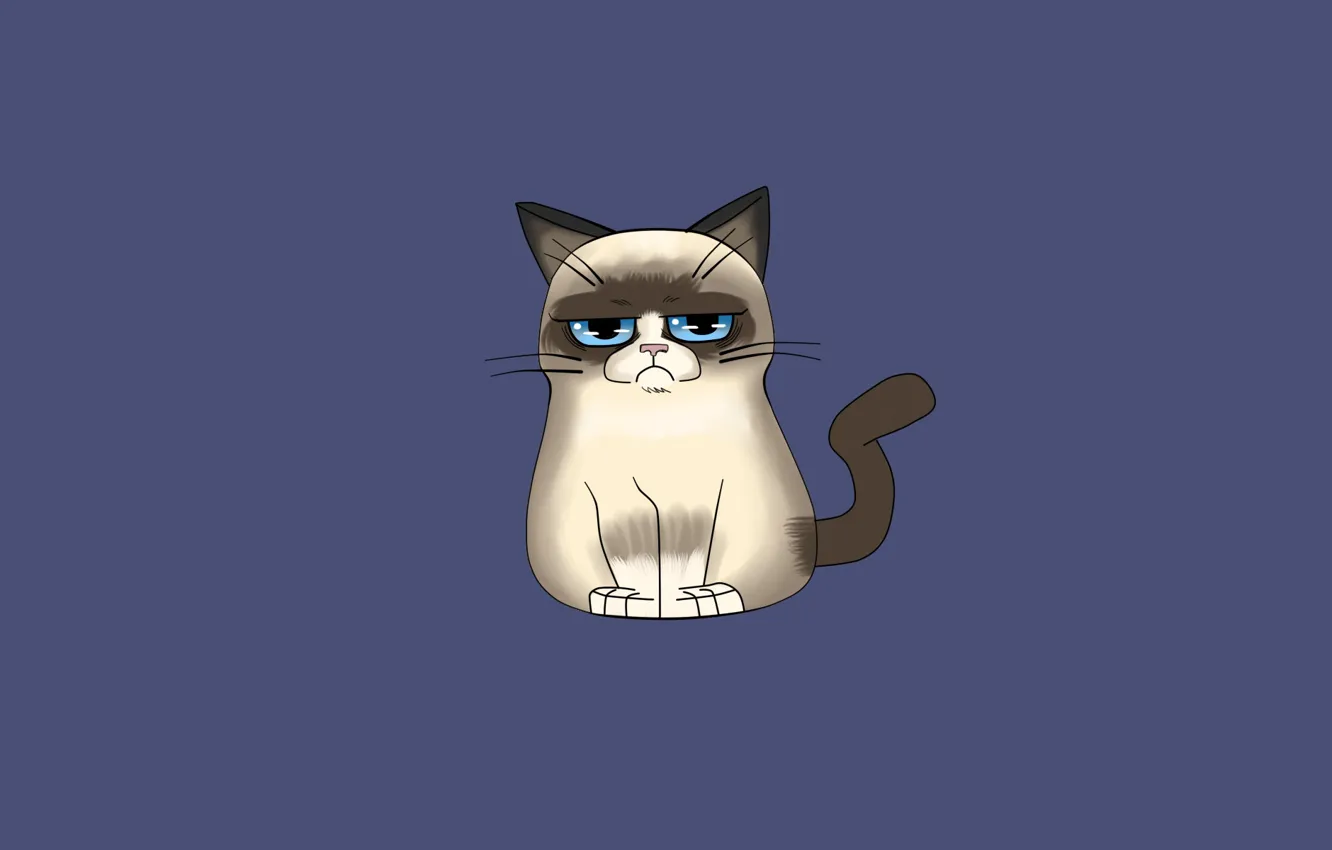 Photo wallpaper cat, cat, minimalism, Grumpy Cat, Grumpy Cat