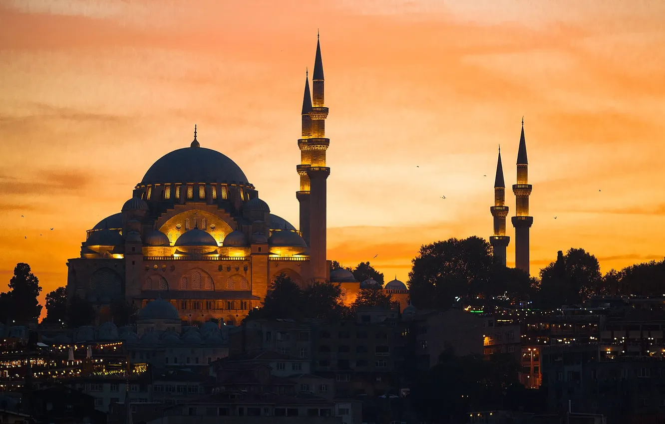 Photo wallpaper the city, the evening, lighting, mosque, the dome, Istanbul, Turkey