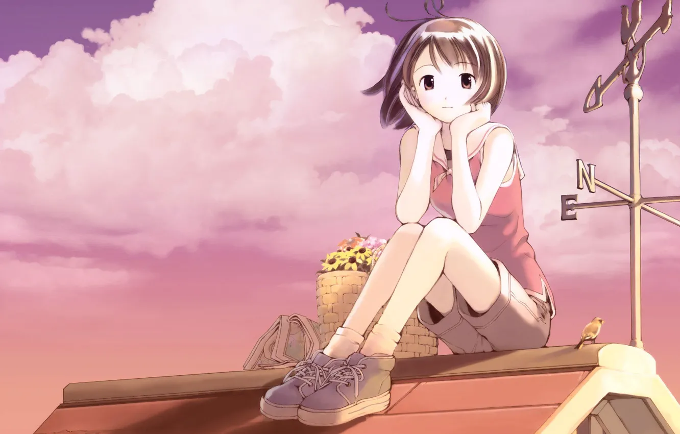 Photo wallpaper roof, flowers, anime, girl, basket