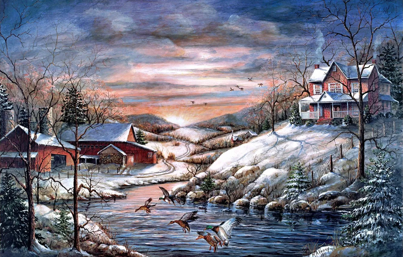Photo wallpaper cold, winter, animals, snow, birds, duck, home, ice