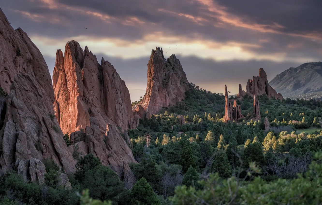 Wallpaper mountains, nature, Colorado Springs, Garden of the Gods for ...