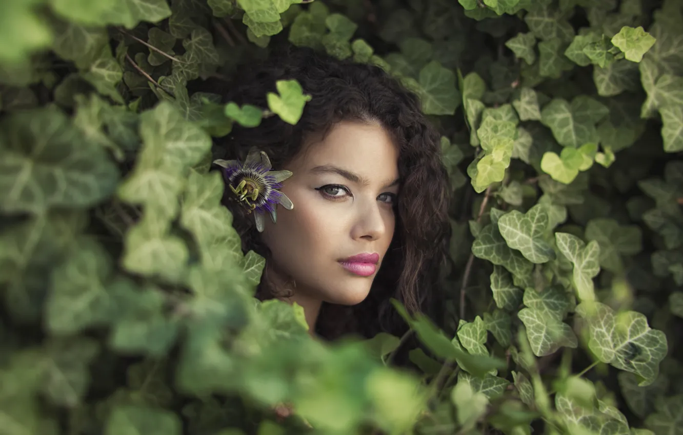 Photo wallpaper look, leaves, girl, flowers, face, brunette, ivy, Passionflower