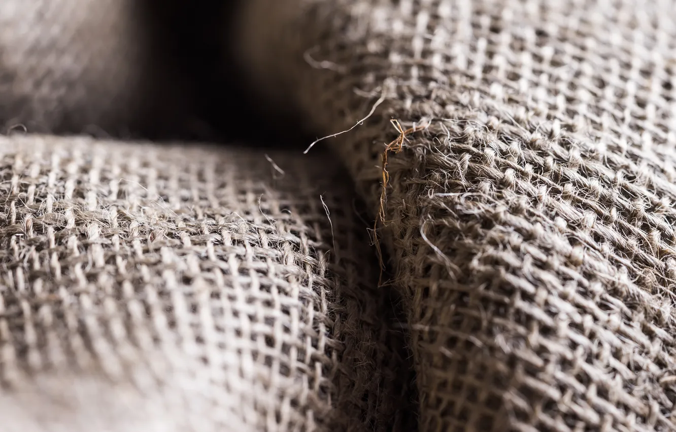 Photo wallpaper grey, pattern, fabric