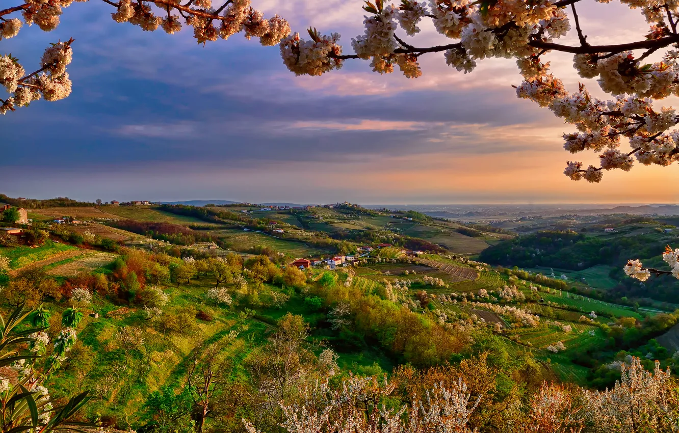 Photo wallpaper color, branch, spring, the evening, valley, Italy, April, Lombardy