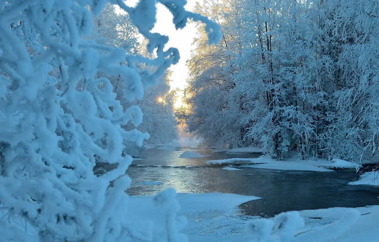 Photo wallpaper winter, forest, the sun, snow, trees, blue, river
