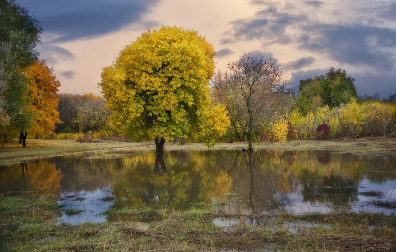 Photo wallpaper autumn, trees, nature, river, Roma Chitinskiy