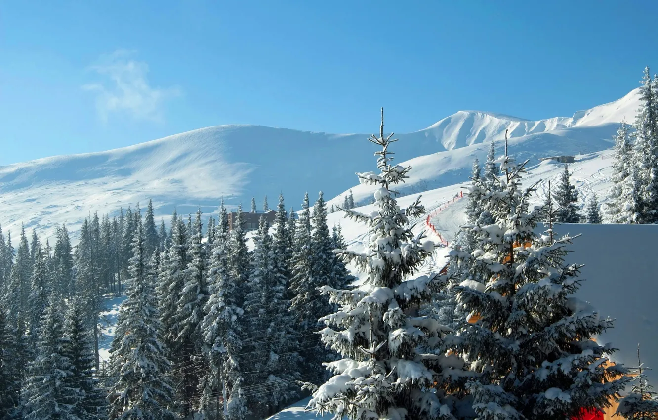 Photo wallpaper winter, snow, mountains, ate, Ukraine, Carpathians, ski resort, Bukovel