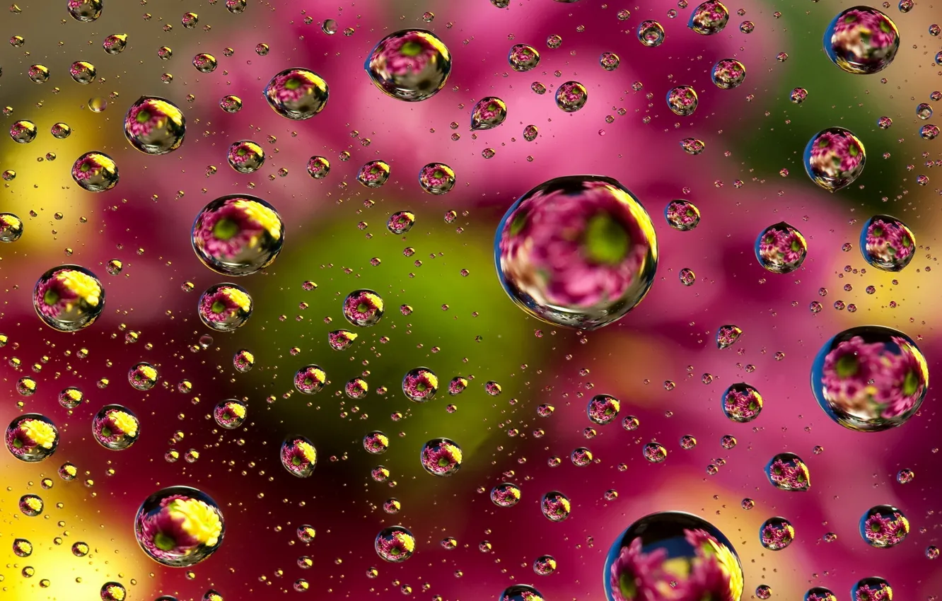 Photo wallpaper abstraction, bubbles, background, colors, colorful, abstract, bubbles, background