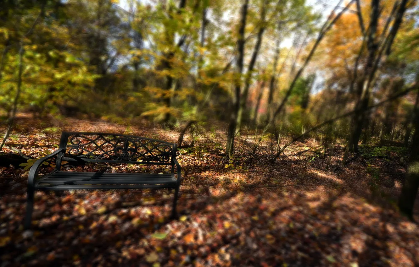 Photo wallpaper autumn, Park, bench