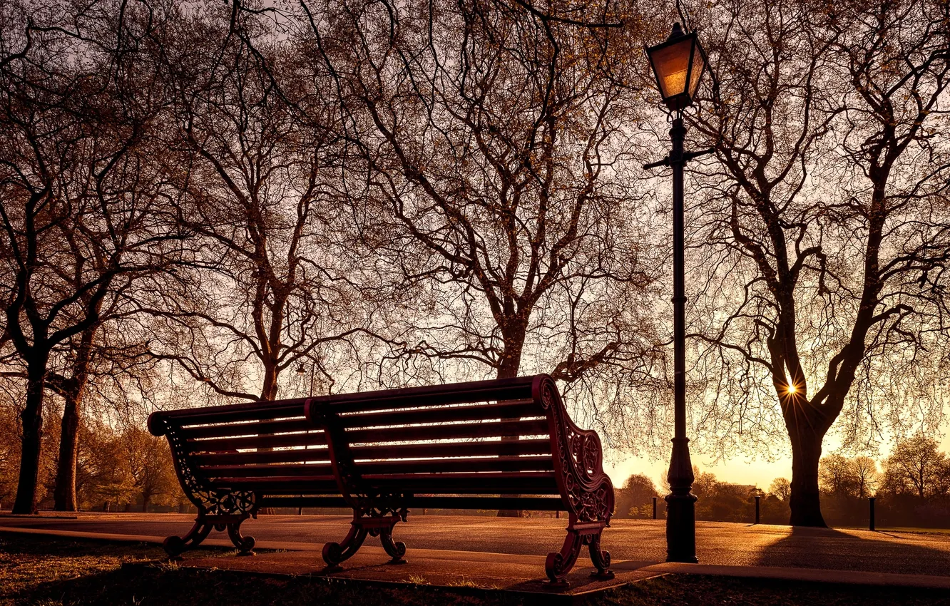 Photo wallpaper the city, lamp, bench
