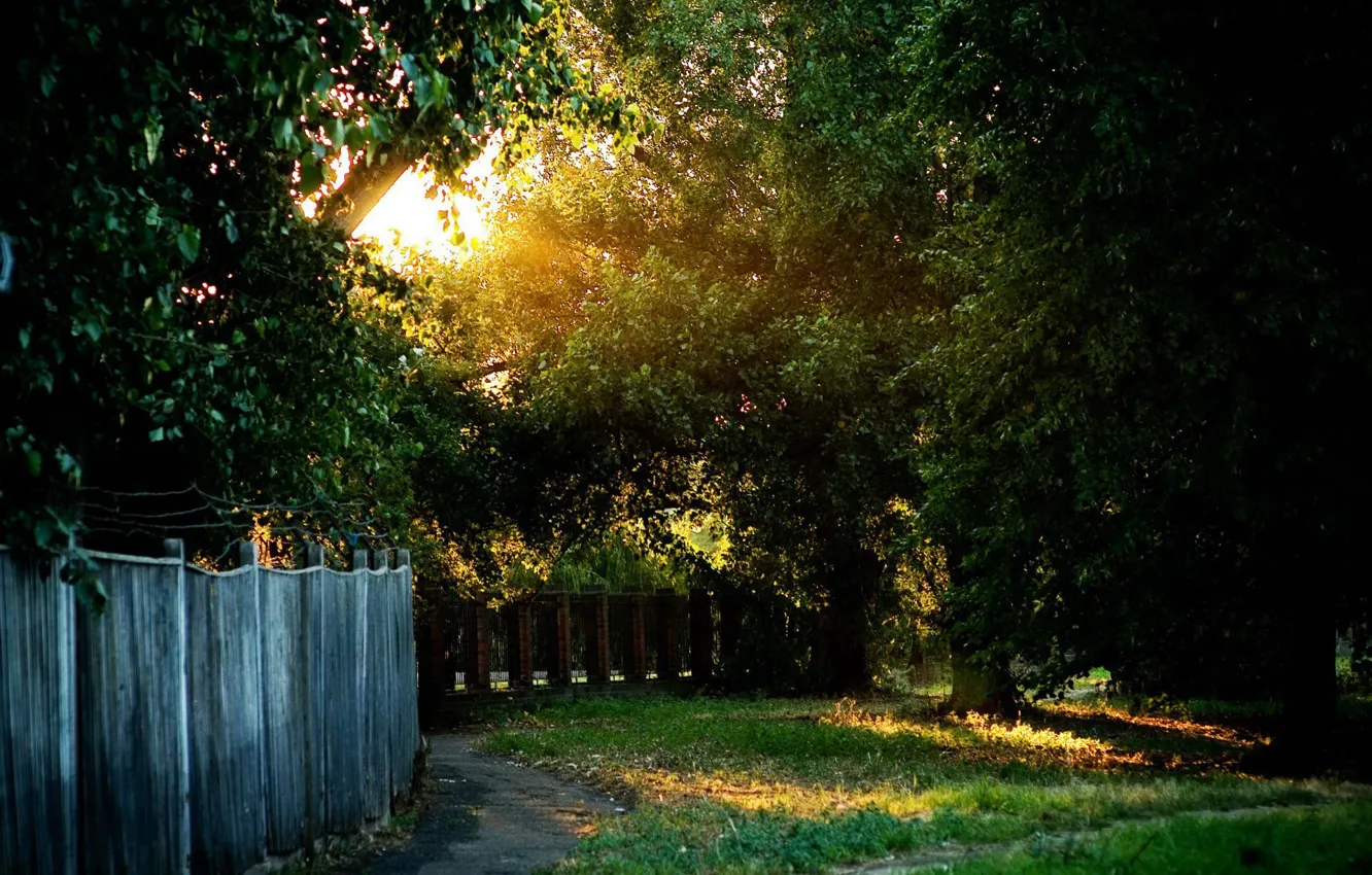 Photo wallpaper grass, the sun, light, the fence, Devereaux