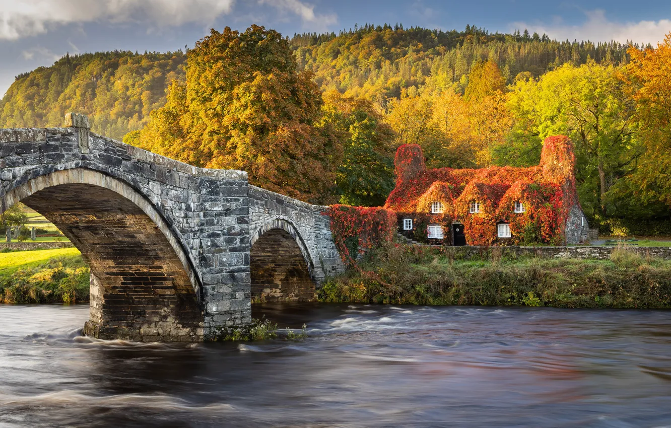 Photo wallpaper autumn, forest, light, mountains, bridge, shore, house, arch