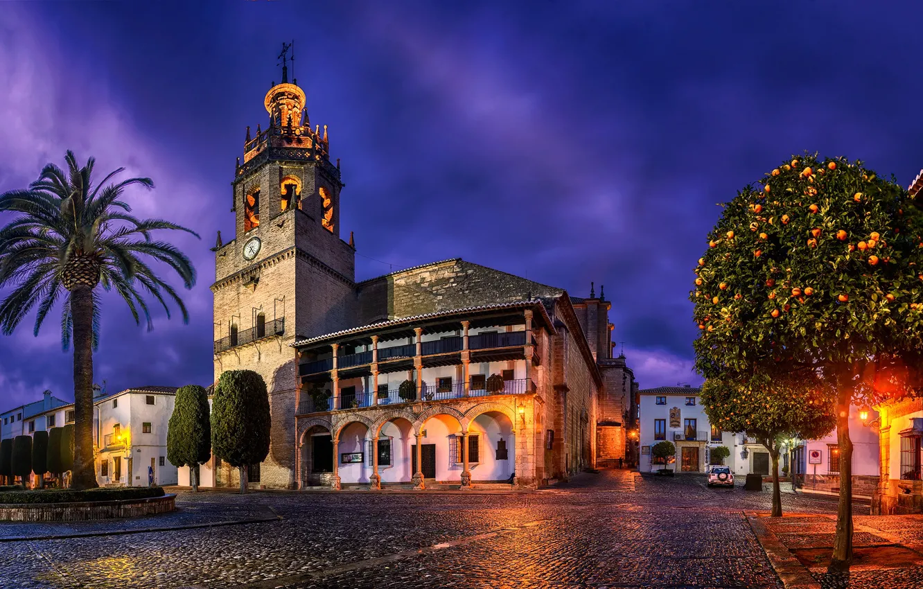 Photo wallpaper trees, lights, palm trees, street, home, the evening, area, lights