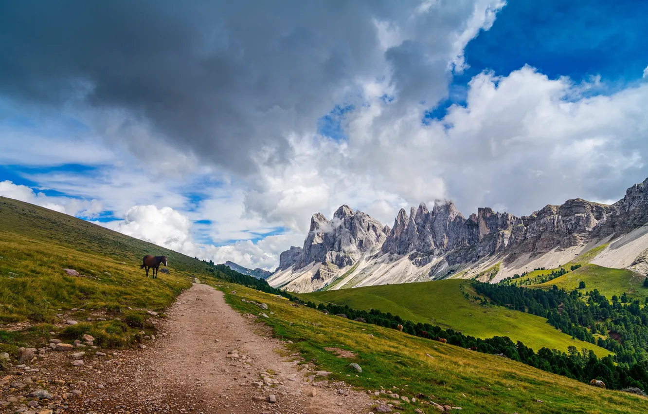 Photo wallpaper forest, the sky, clouds, trees, mountains, horse, Italy