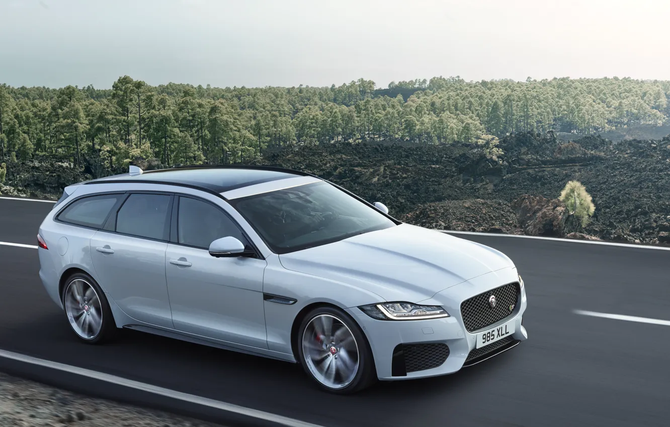 Photo wallpaper road, white, the sky, trees, movement, Jaguar, universal, XF Sportbrake 25d AWD