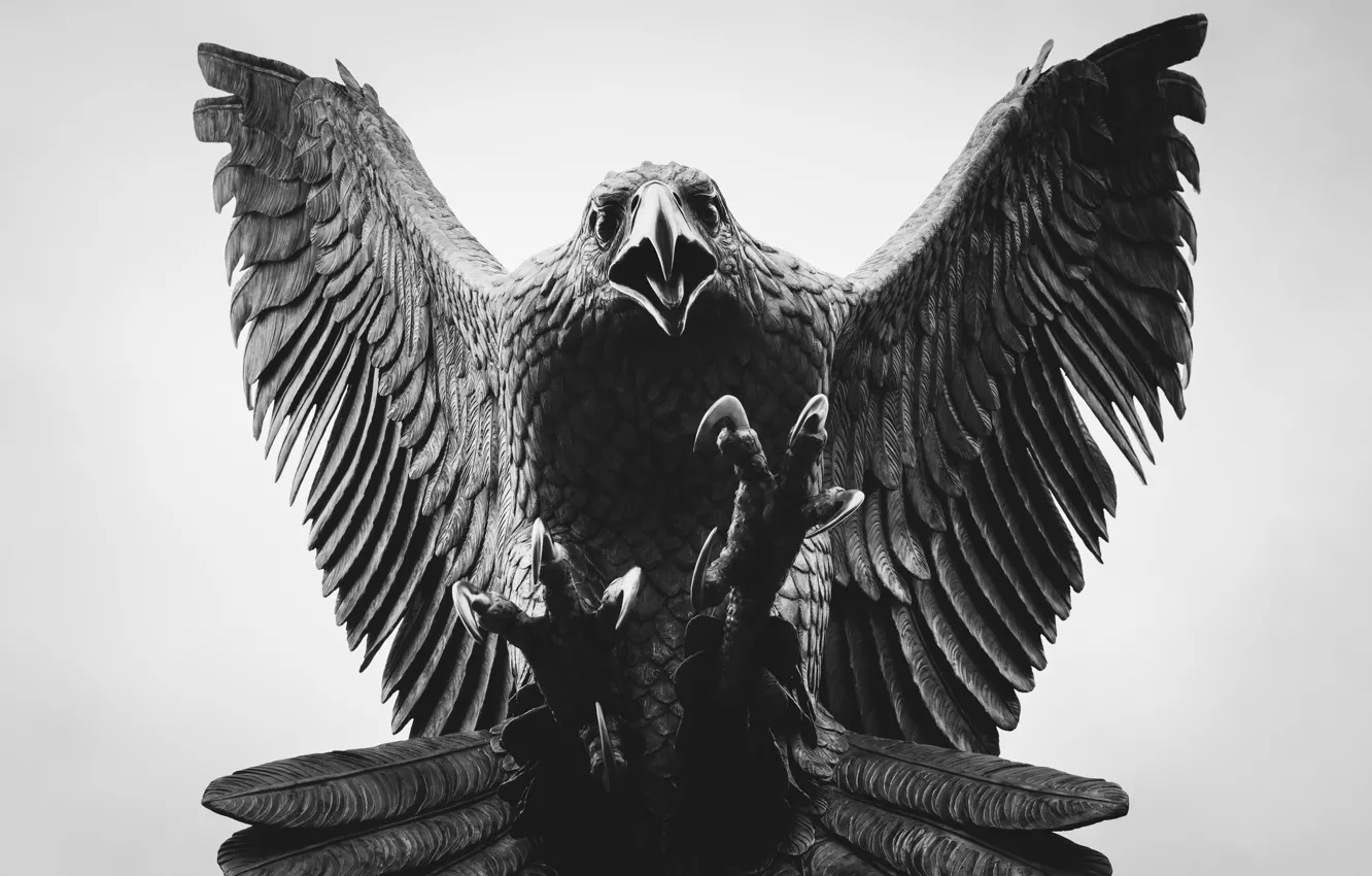 Photo wallpaper eagle, beak, claws, figurine