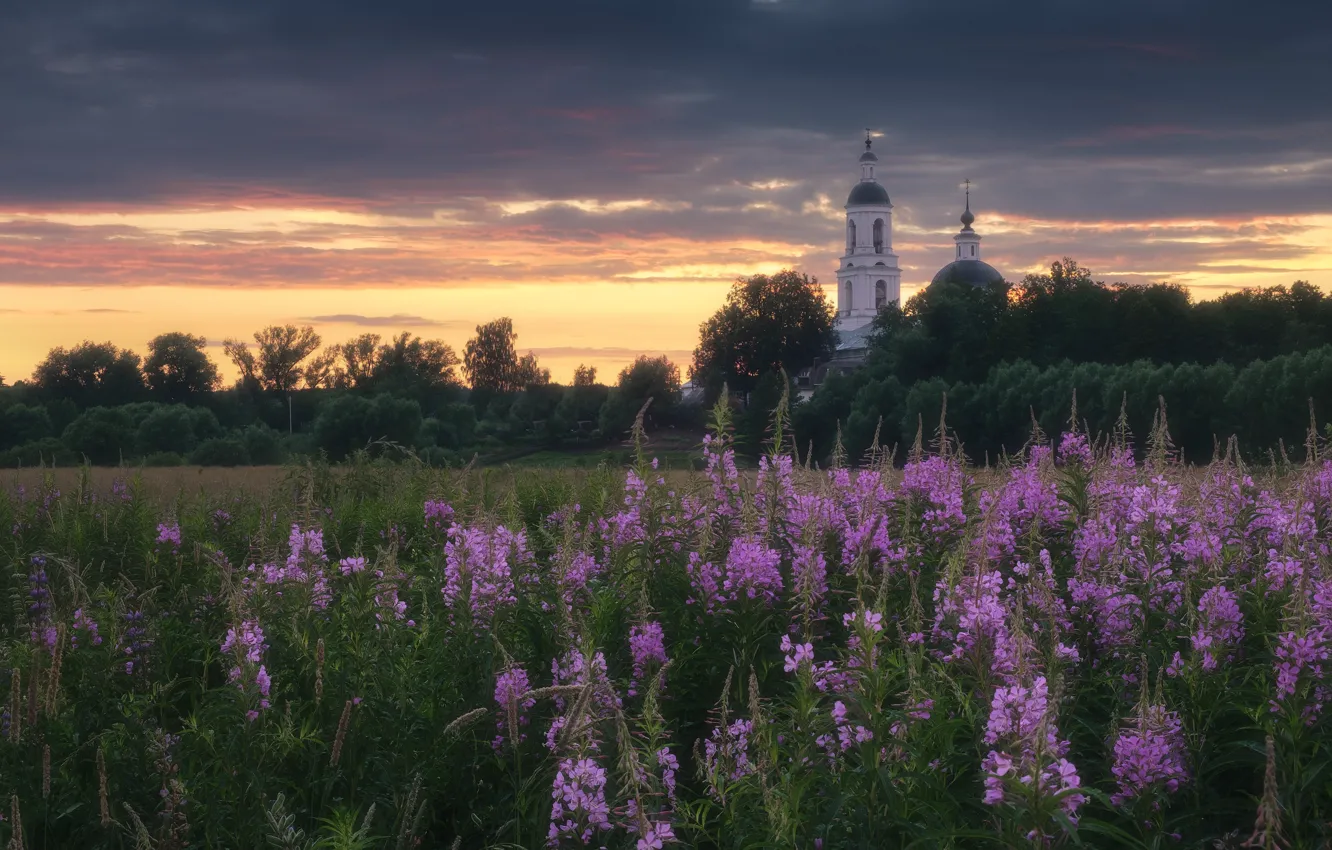 Photo wallpaper grass, landscape, nature, village, meadow, Church, twilight, Ivan-tea