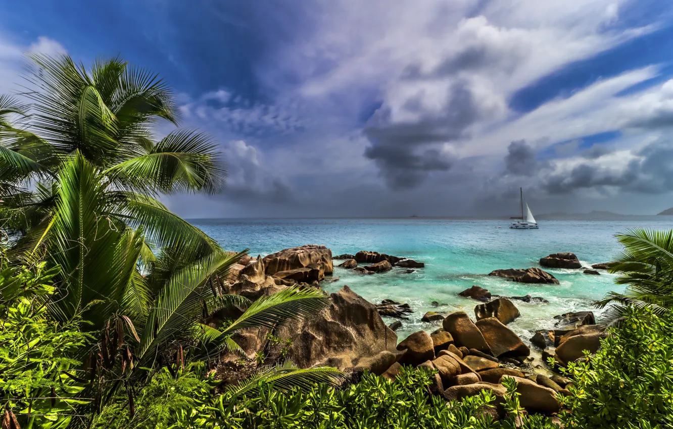 Photo wallpaper sea, beach, nature, tropics, palm trees