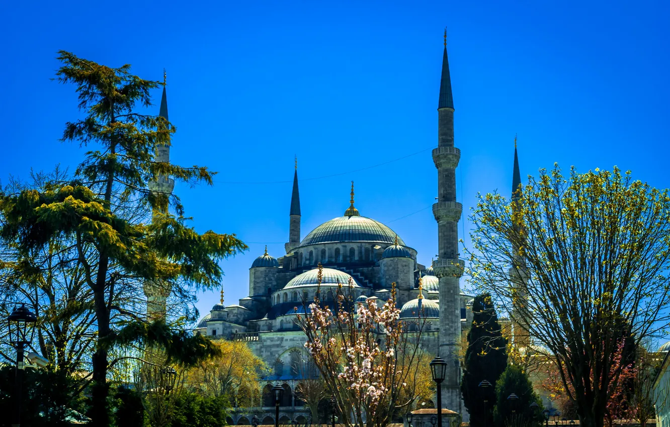 Photo wallpaper the sky, the sun, trees, spring, tower, temple, the dome, Istanbul
