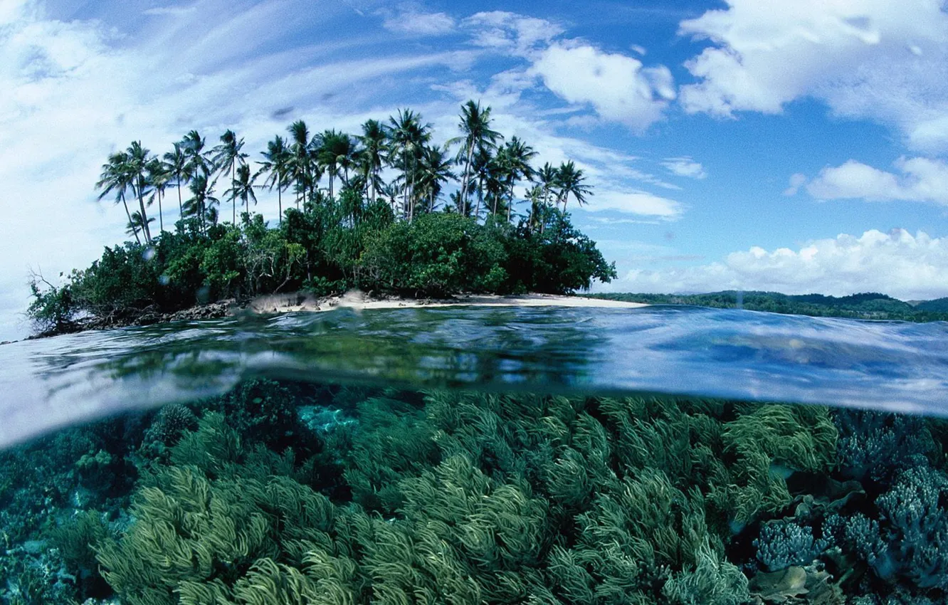 Photo wallpaper water, transparency, palm trees, the ocean, island, Laguna