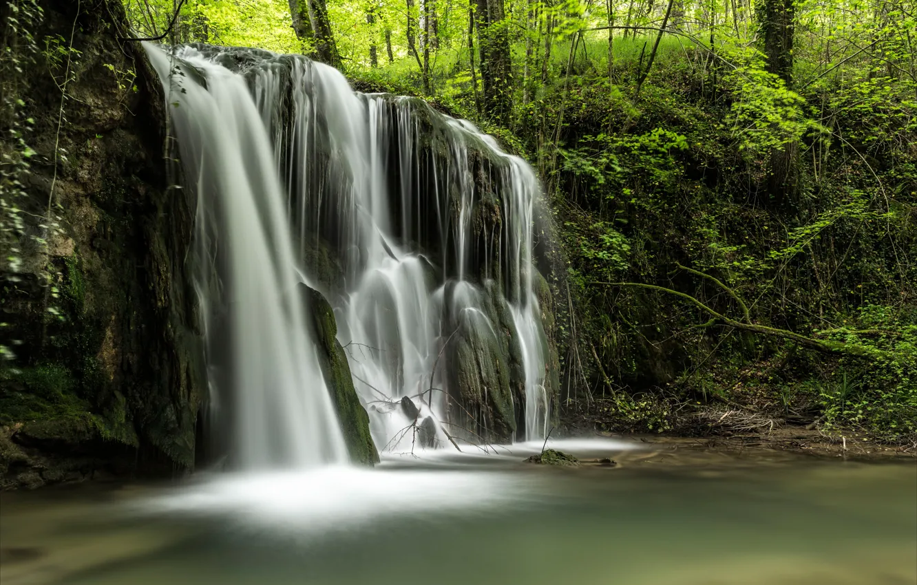 Photo wallpaper forest, trees, squirt, stream, thickets, waterfall, river