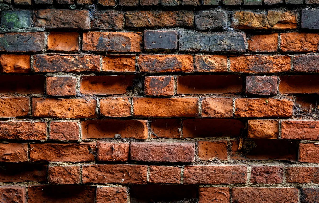 Photo wallpaper wall, bricks, brown