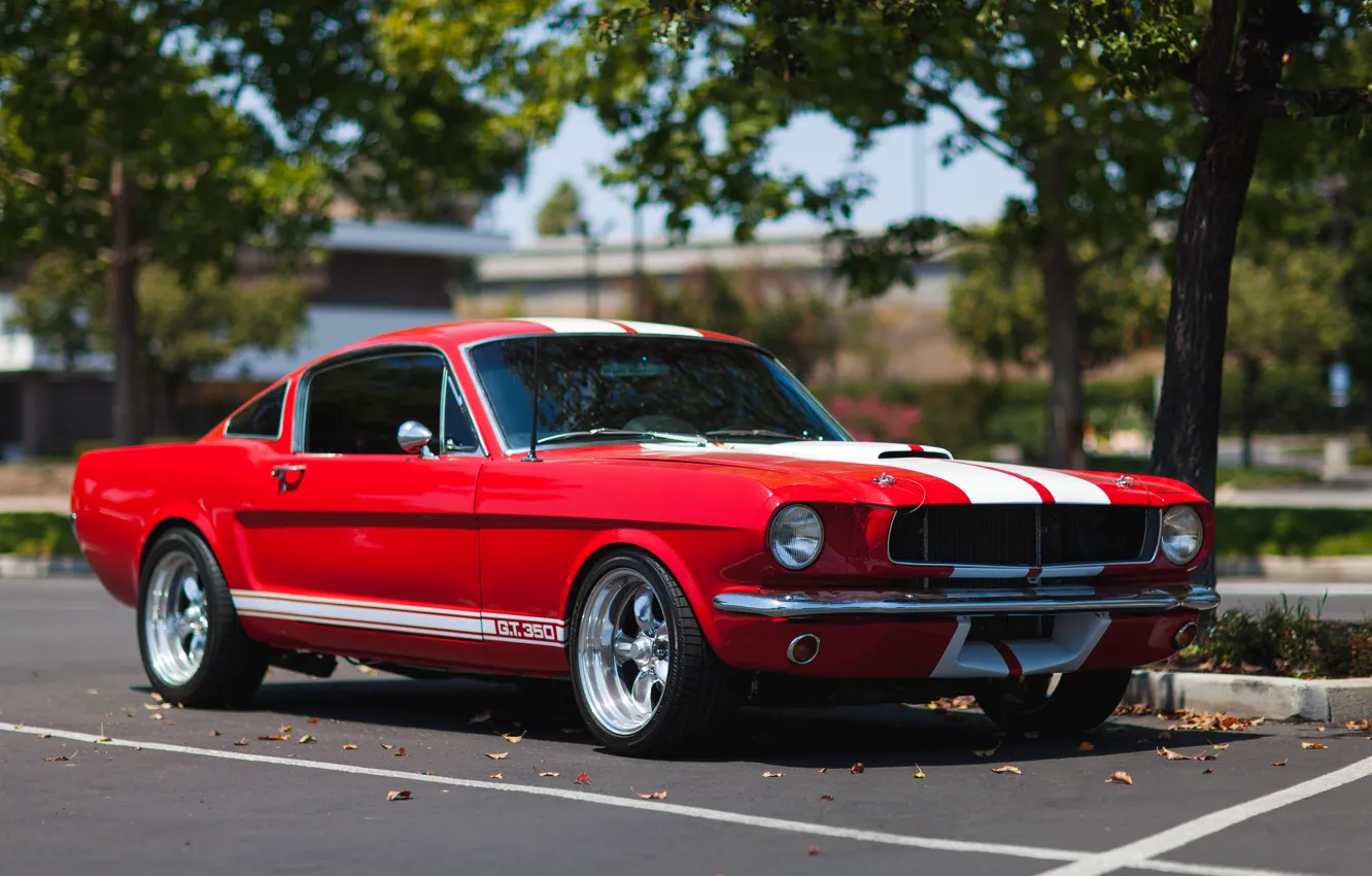 Photo wallpaper Ford, Shelby, Red, 1967, GT350