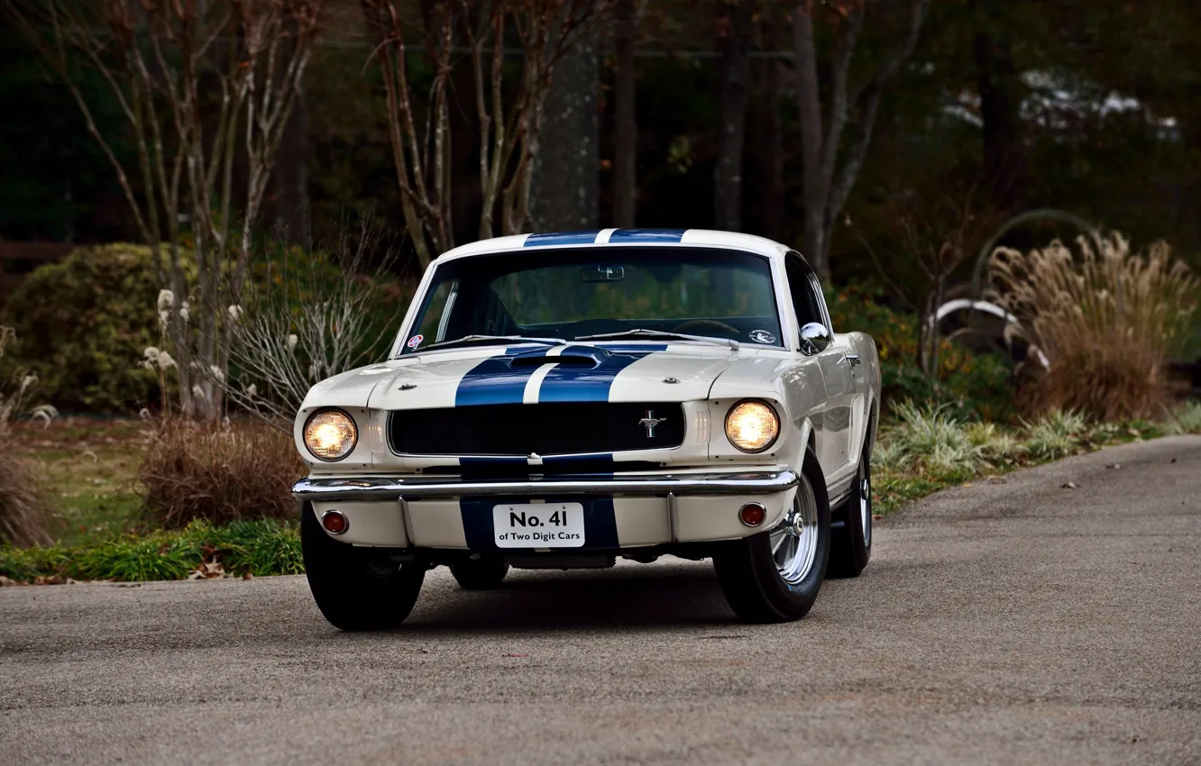 Photo wallpaper Mustang, Ford, Fastback, muscle classic, 1965., Shelby GT 350