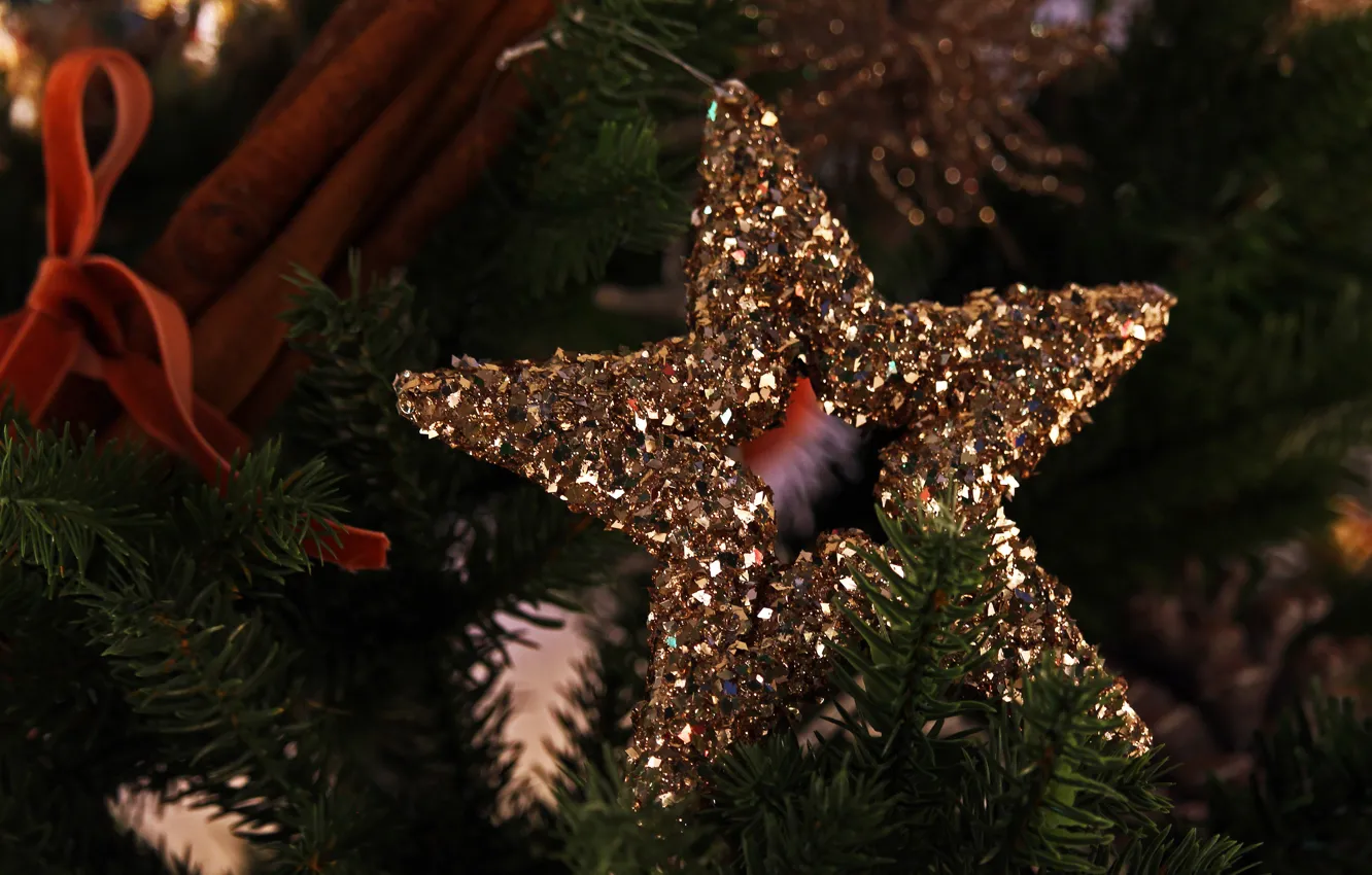 Photo wallpaper winter, holiday, star, Shine, Christmas, New year, needles, Christmas decorations