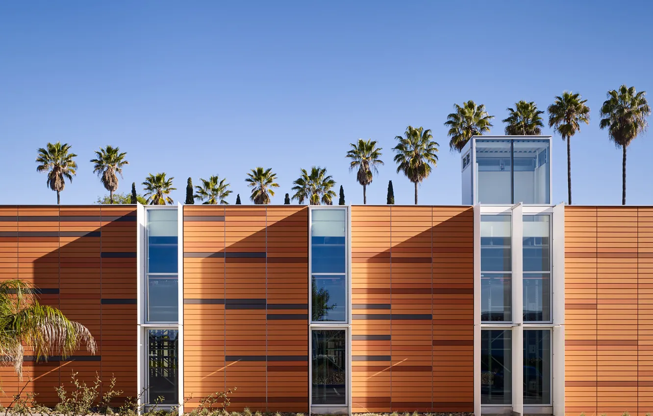 Photo wallpaper the sky, palm trees, architecture, structure, Palomar Community College District