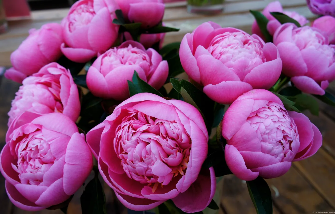 Photo wallpaper leaves, flowers, bouquet, petals, buds, peonies