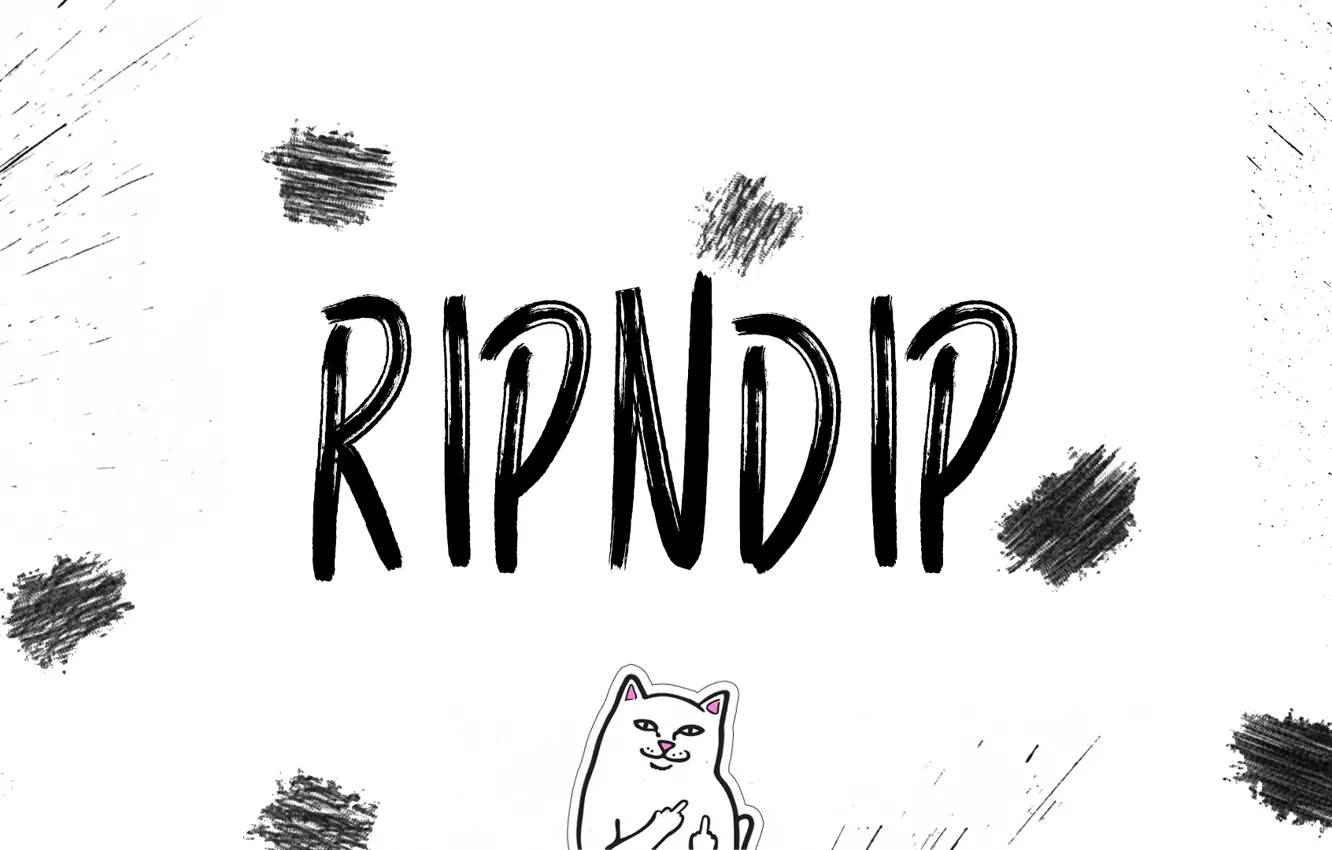 Photo wallpaper white, cat, squirt, cats, white background, firm, mark, ripndip