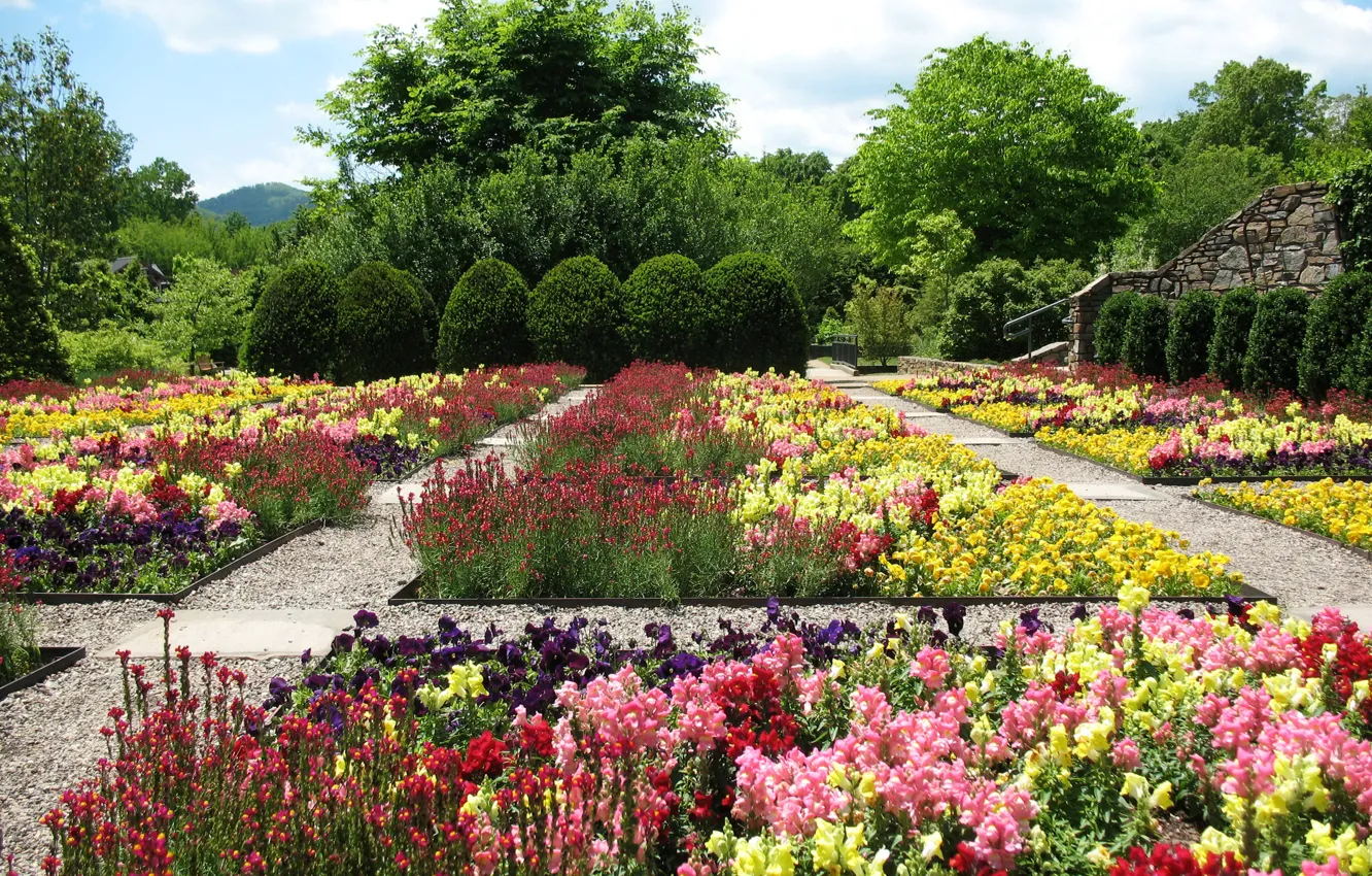 Photo wallpaper trees, flowers, garden, track, Pansy, the bushes, snapdragons