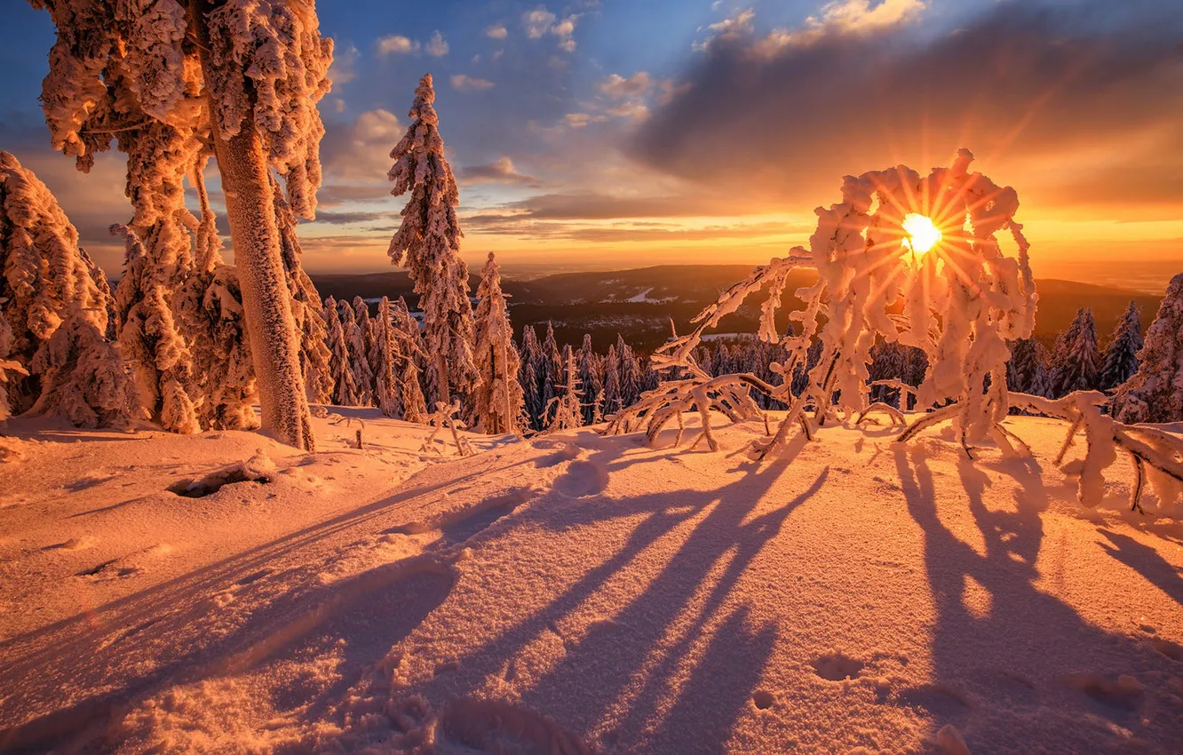Photo wallpaper winter, forest, the sky, the sun, clouds, rays, light, snow