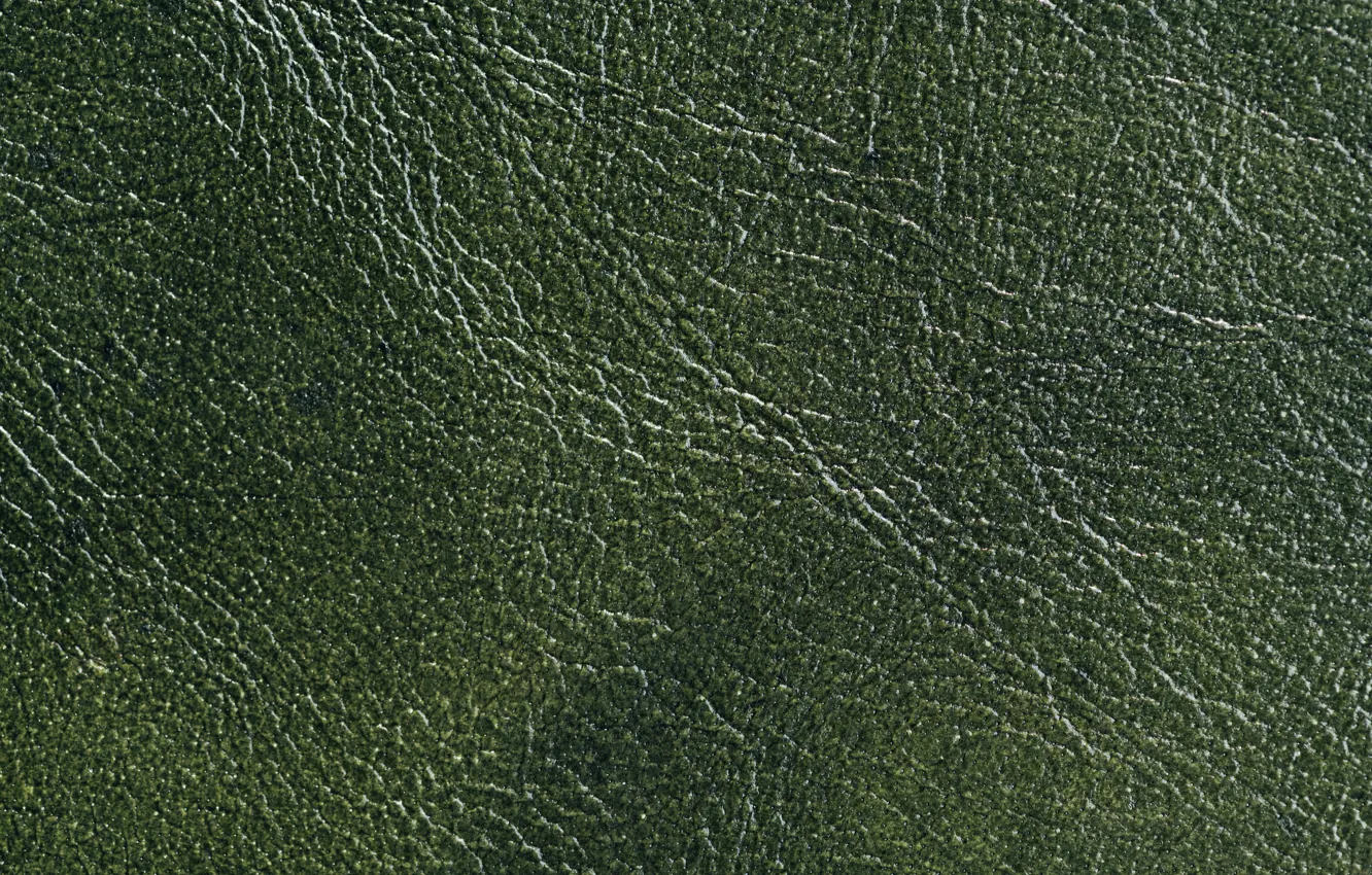 Photo wallpaper surface, texture, leather, green, relief, green, texture, leather